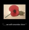 lest we forget 1914-1918 100 years.JPG