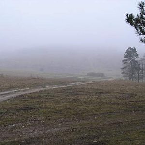 A Rather Foggy Sidbury Hill!