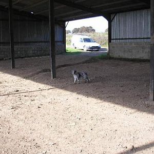 Bake Barn