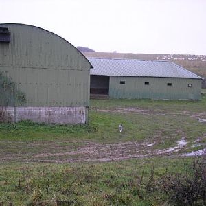 A Very Wet Chisenbury Field Barn