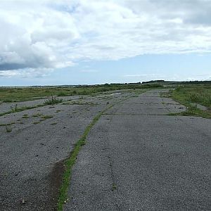 WW2 RAF TAIN  found a few old empty 20mm hispano cases