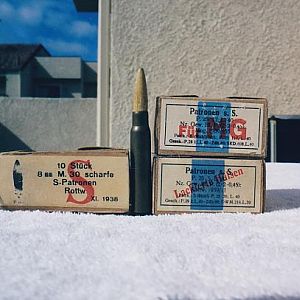 German 8mm Ammo