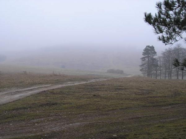 A Rather Foggy Sidbury Hill!