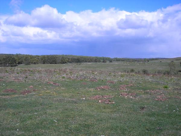 Bulford Flats