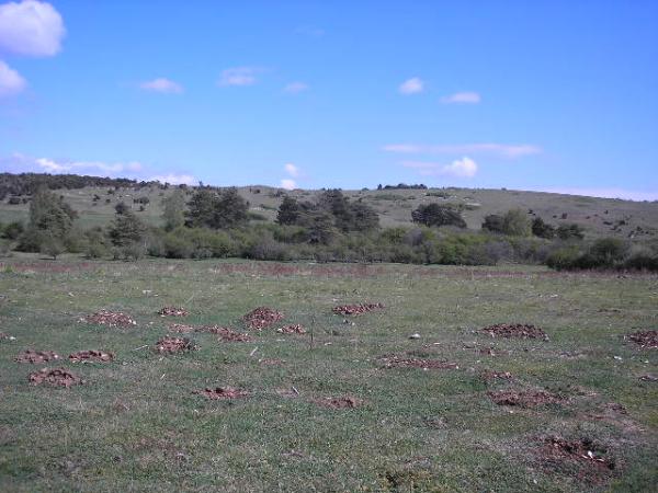 Bulford Flats