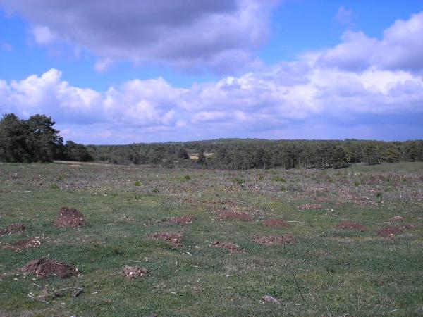 Bulford Flats