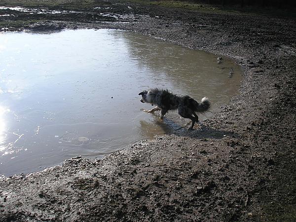 Dad, why has the puddle gone hard?