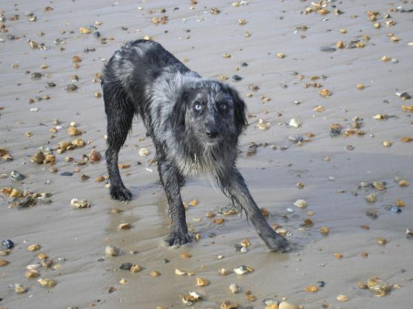 Giving It Large On The Beach