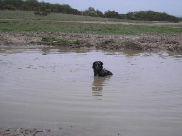 If It's Not Deep Enough To Swim In Anymore,i'll Just Sit In It!