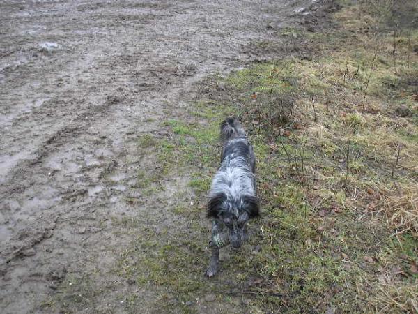 Ollie Being A Womble With Smoke Grenades