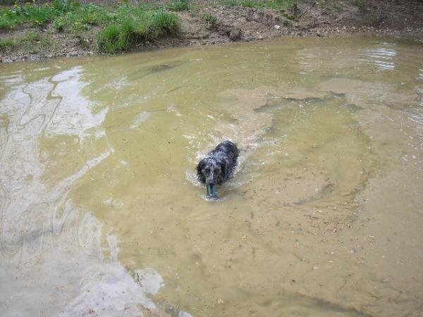 Ollies Two Favorites-muddy Puddles & Smoke Grenades