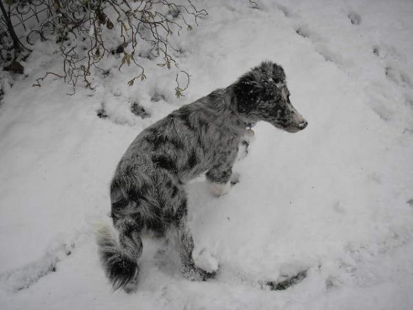 Our Little Man In The Snow