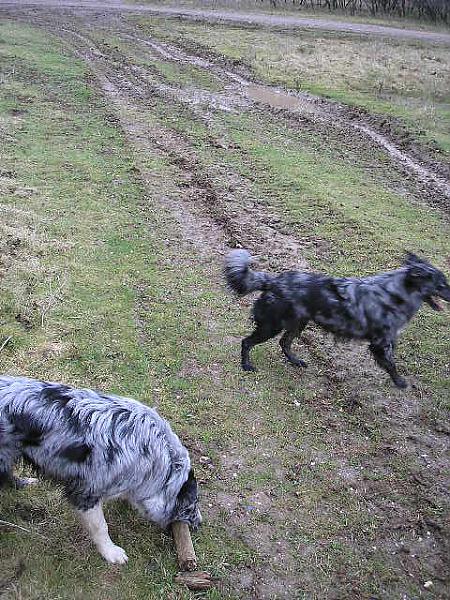 out on a muddy plain