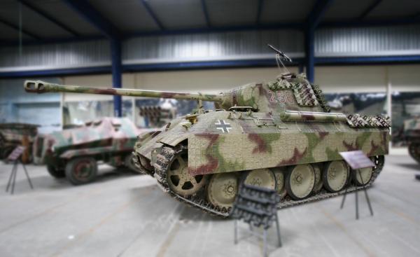 Panther In Saumur