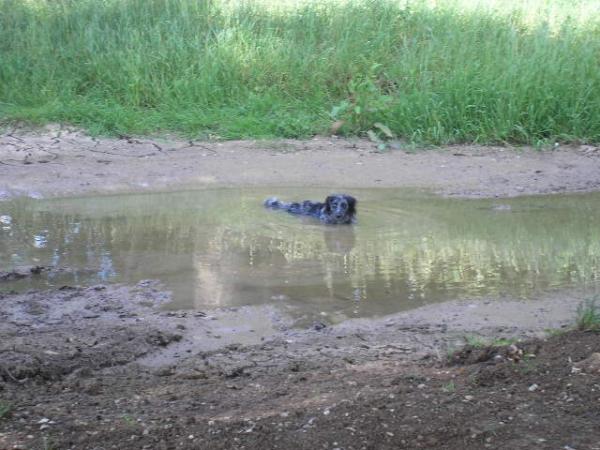 That's One Way To Cool Down