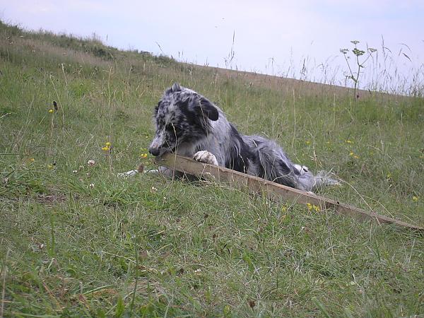 well if your'e having a tea break I'm going to muller this bit of wood!