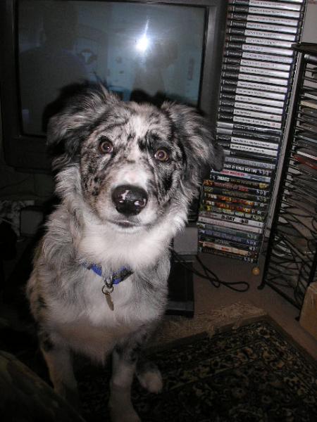 'what Do You Mean You're Trying To Watch Telly Dad'?