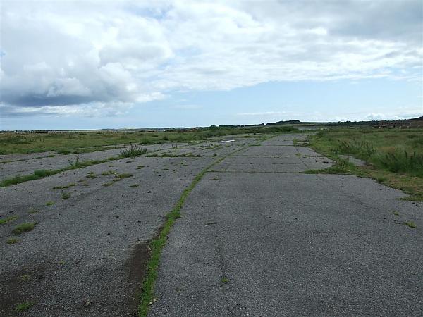 WW2 RAF TAIN  found a few old empty 20mm hispano cases